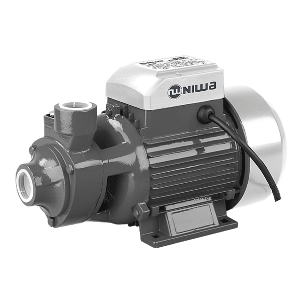 Bomba Periférica Niwa® WENW-100P